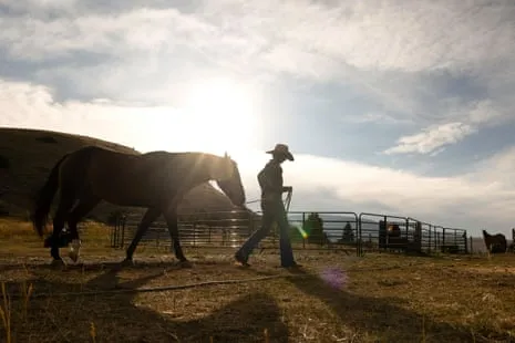 Meet the US Cowgirls Redefining Contemporary Ranch Life