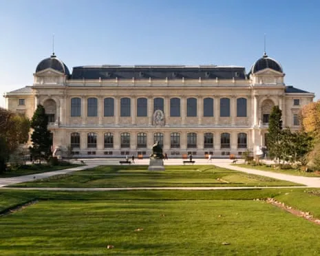 Historic Golden Pieces Stolen in Audacious Heist at France's Natural History Museum